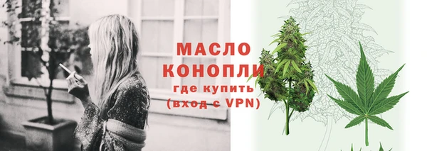 сатива Козловка