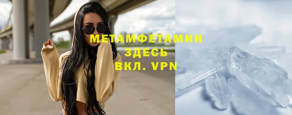 сатива Козловка