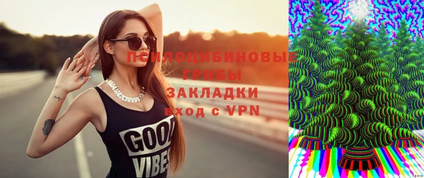 сатива Козловка