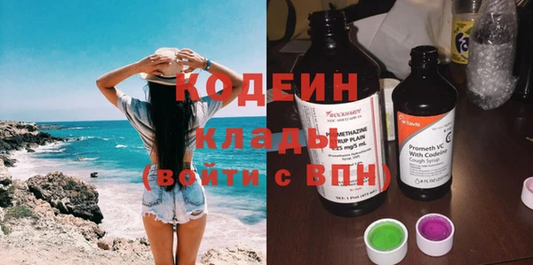 сатива Козловка