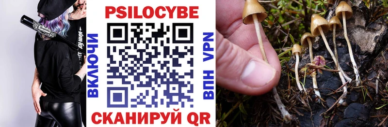 Псилоцибиновые грибы MAGIC MUSHROOMS  omg маркетплейс  Лянтор  сколько стоит 