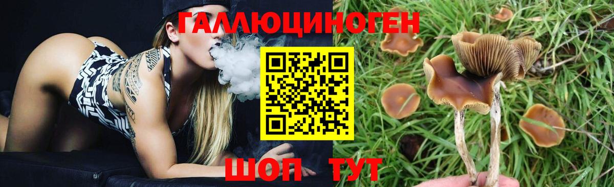 Псилоцибиновые грибы MAGIC MUSHROOMS Лянтор